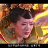 49791曾道道人大众网